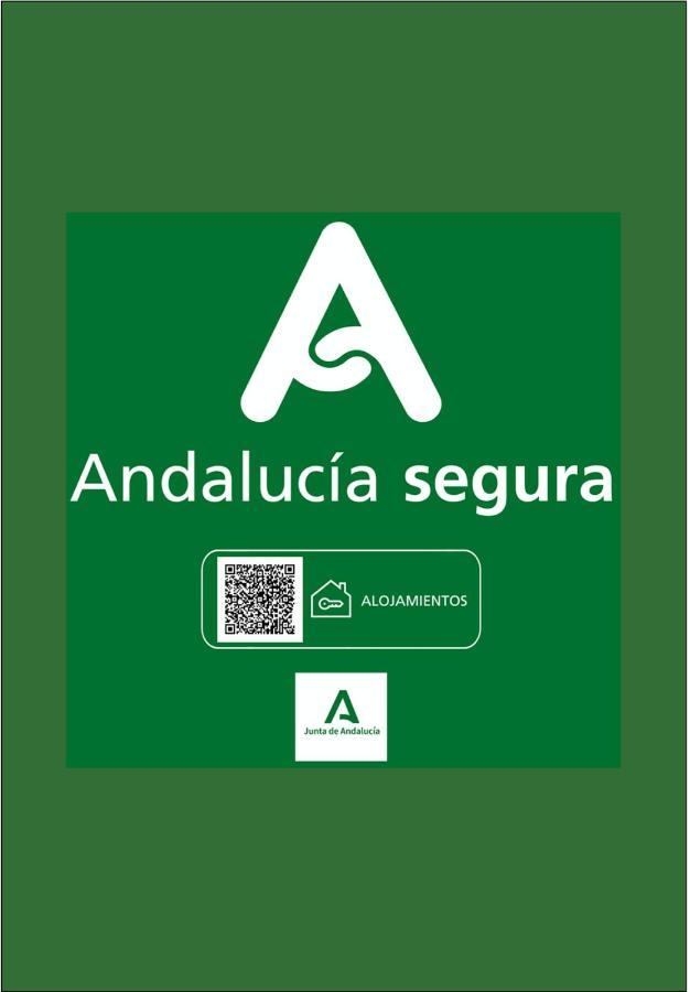 Holidays2Malaga Heredia 3 Bedroom Opposite Malaga Port Exterior foto